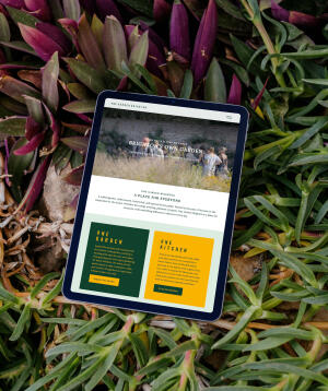 mockuuups ipad air mockup on some grass